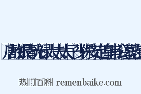 唐故银青光禄大夫太子少保安定皇甫公墓志铭是什么意思的图片